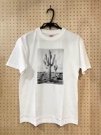 三好耕三 : Tシャツ CACTI （XLサイズ）